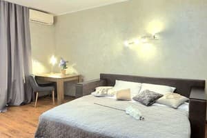 Квартира однокомнатная, ул. Левка Лукьяненко, 13А. Апартаменты двухместный  2